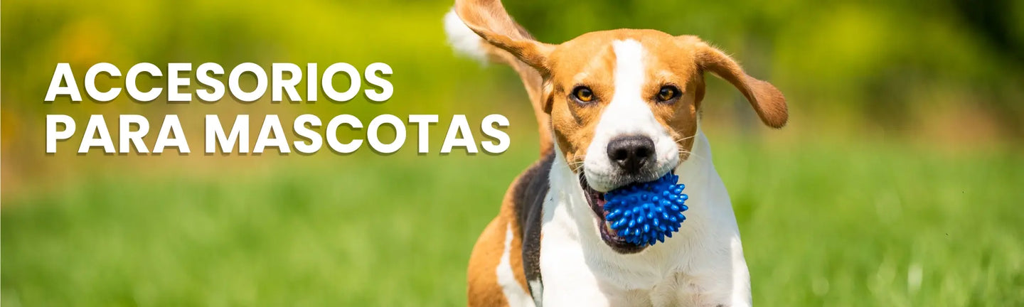Juguetes y Accesorios