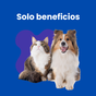 Solo beneficios