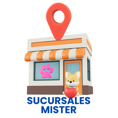 SUCURSALES MISTER