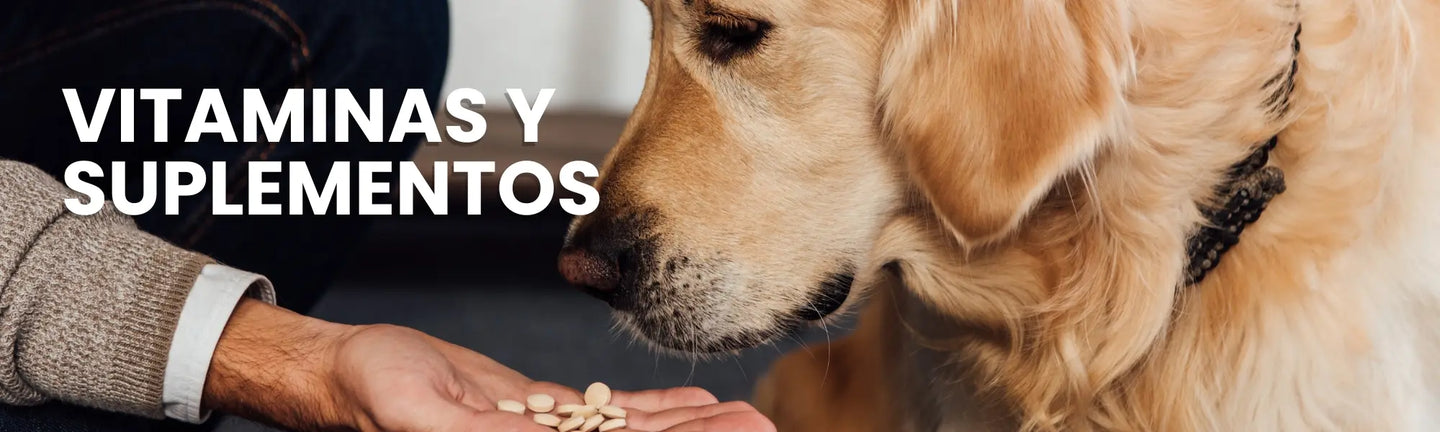 Vitaminas y Suplementos