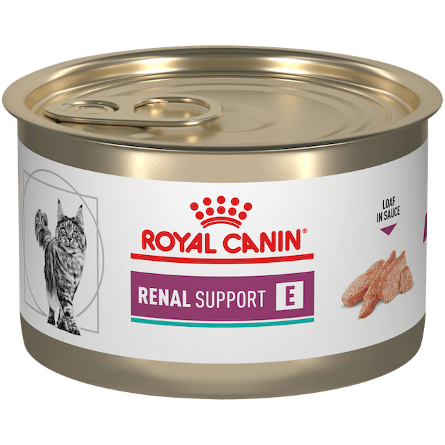 renal support e gato royal canin lata