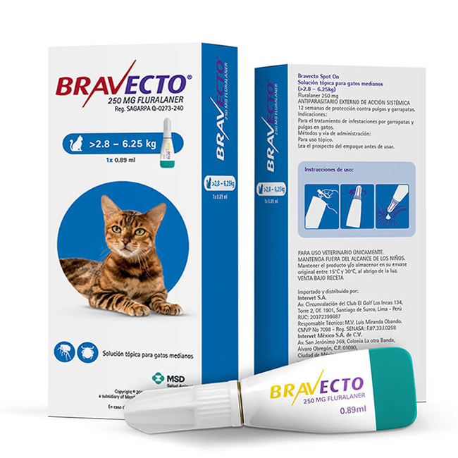 Bravecto Spot On Cat – MSD Salud Animal