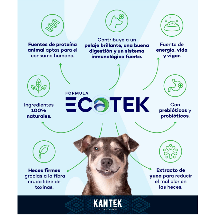 Kantek Adulto - Alimento para Perro Super Premium