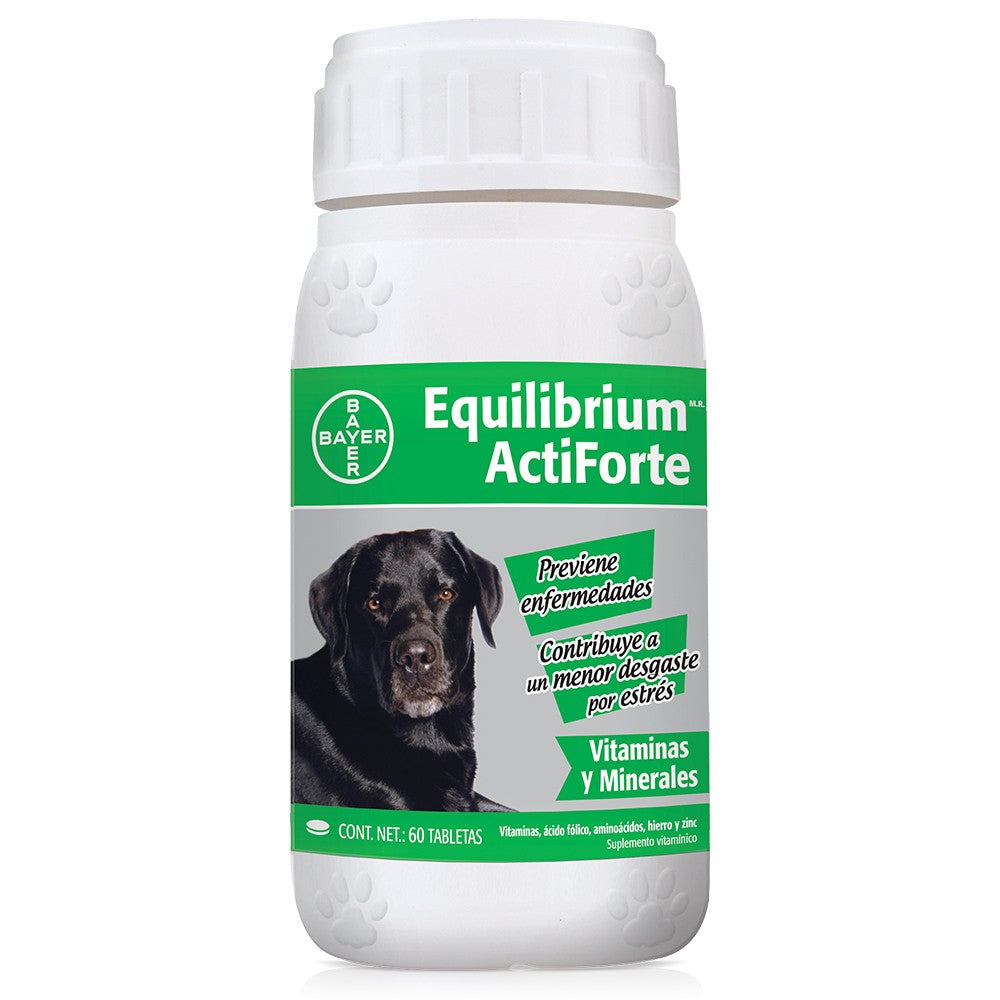 Vitaminas Equilibrium Bayer Actiforte 60 Tabletas, Salud, Bayer, Mister Mascotas