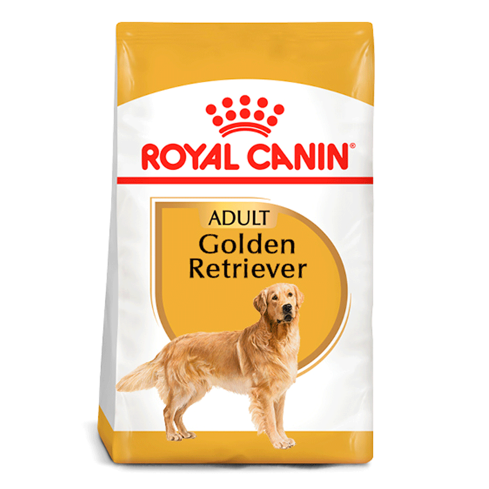 Royal Canin | Golden Adulto 13.61 kg | Veterinarias Mister