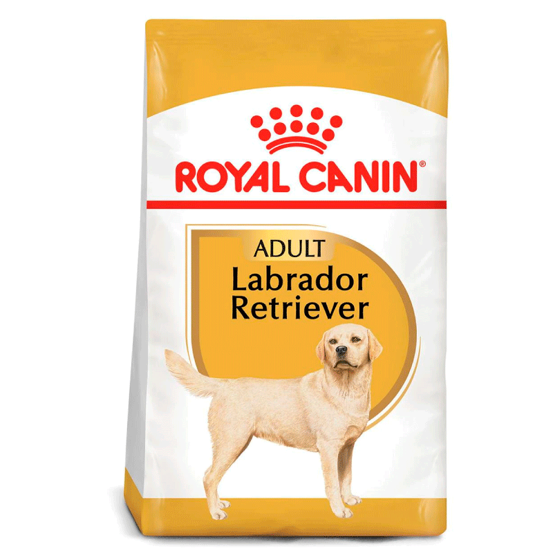 royal canin labrador