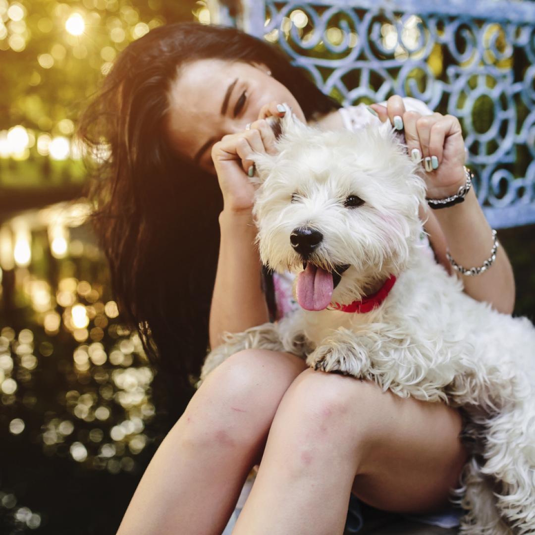 Celebra este 14 de febrero con tu mascota