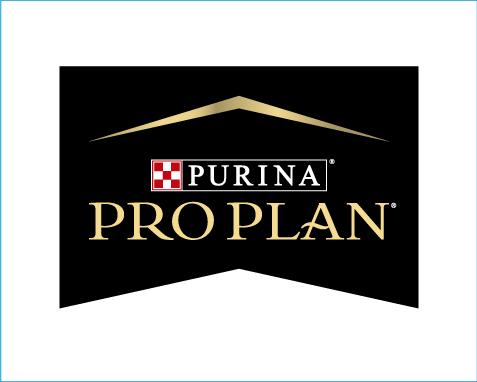 pro plan