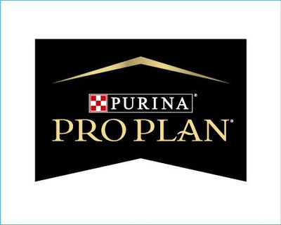 Pro Plan