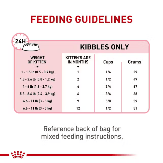 Royal Canin Kitten - Alimento para Gato Cachorro