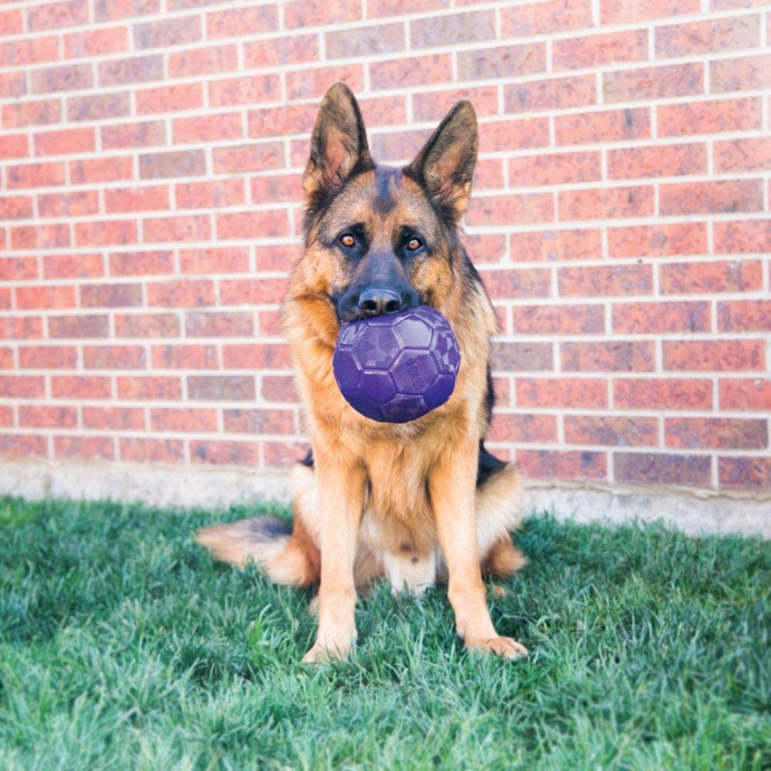 Juguete Kong Flexball - Balón Flexible para Perro