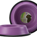 Plato Colors Surtido 16 Oz Fancy Pets