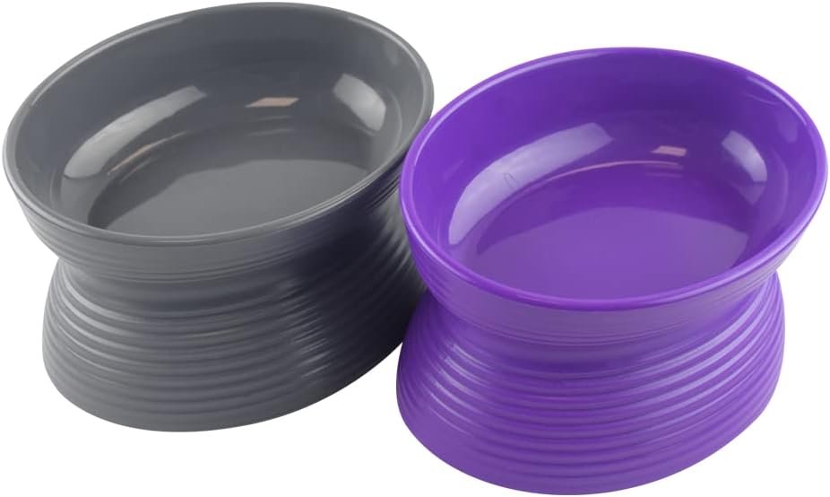 Set De 2 Platos Para Gato