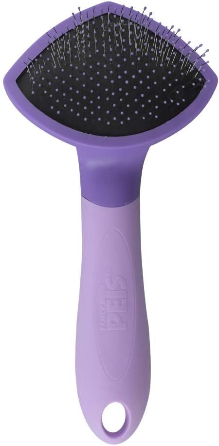 Carda Para Gato Expert