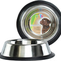 Plato De Acero De 16 Oz Fancy Pets