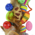 Juguete Set Surtido Catch 12 Pz Fancy Pets
