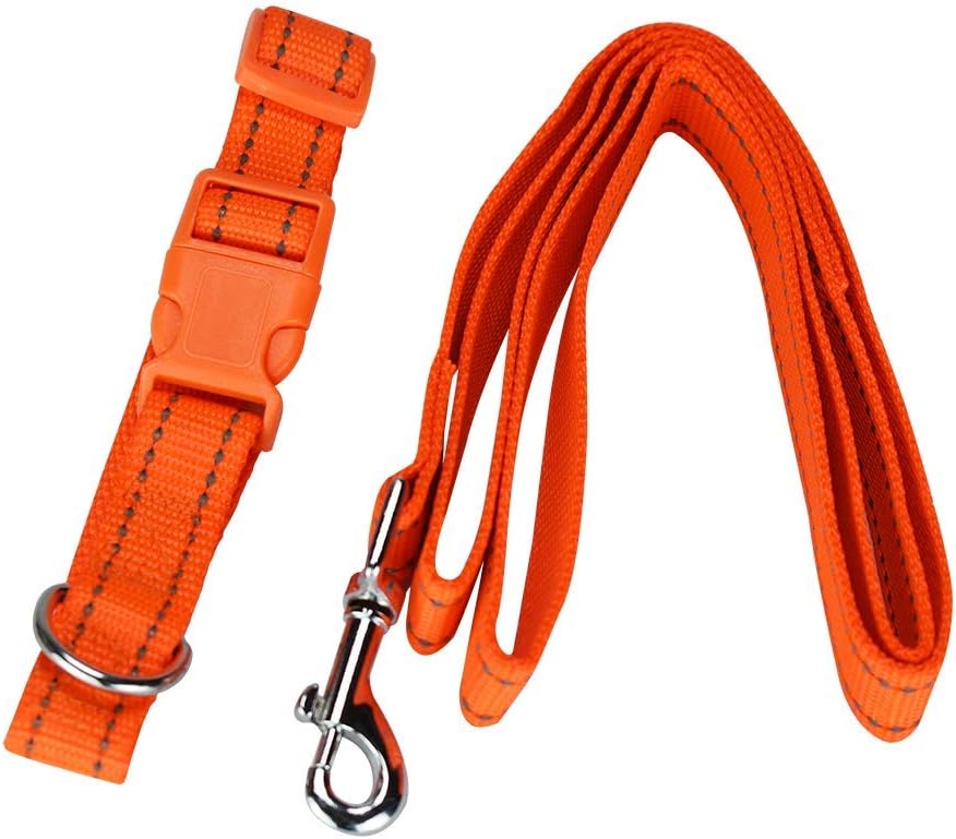 Collar Med C/Correa C/Bandas Reflejantes