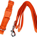 Collar Mediana Con Correa Con Bandas Reflejantes Fancy Pets para Perro