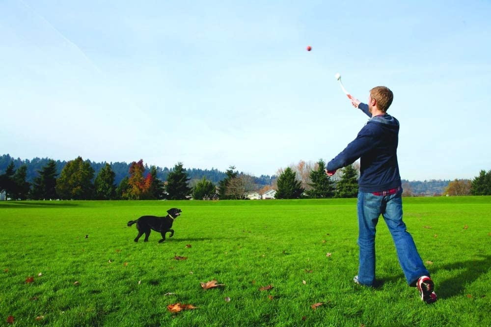 Lanza Pelotas para Perros  chuckit