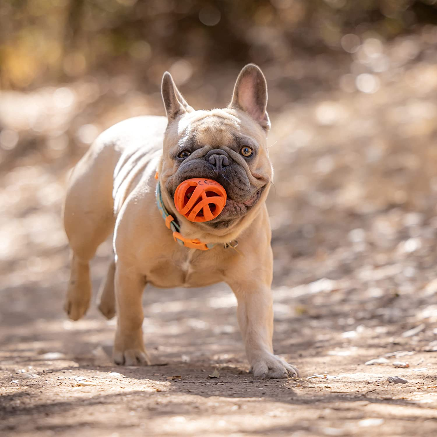 Pelotas para Perros Chuckit! Air Fetch Ball