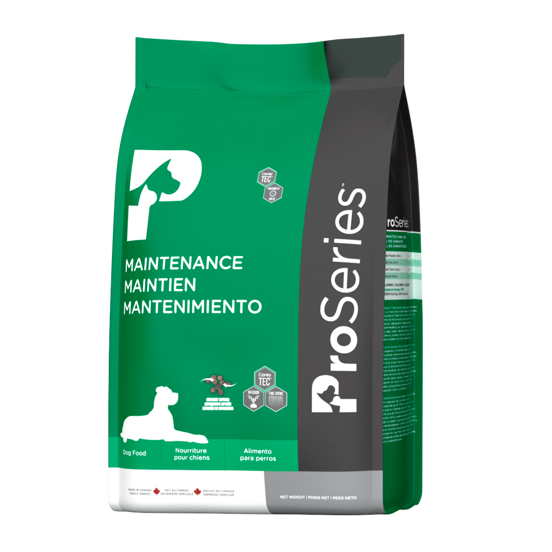 Productos ProSeries Mantenimiento - Alimento para Perro