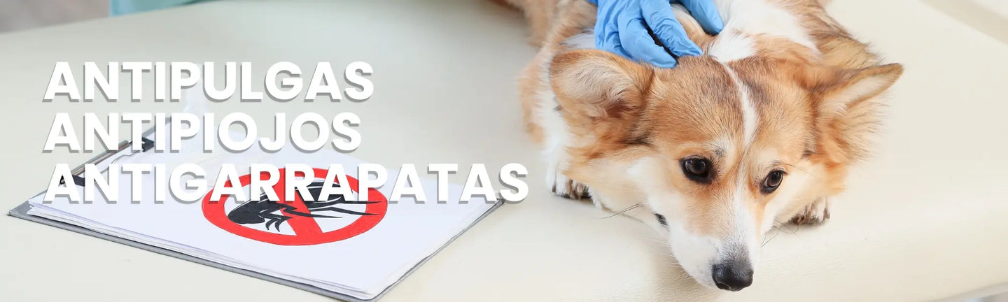 Antipulgas, Antipiojos y Antigarrapatas