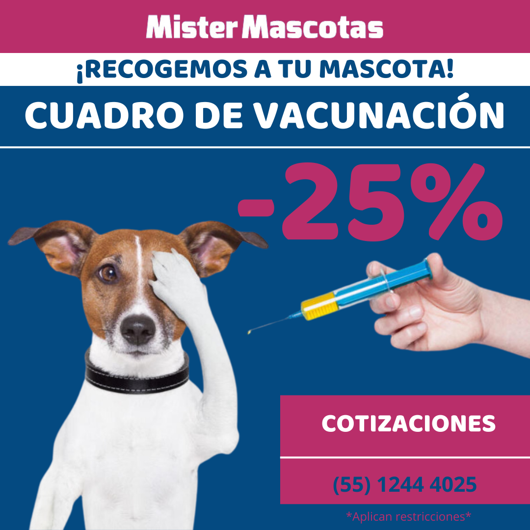 VACUNACIÓN