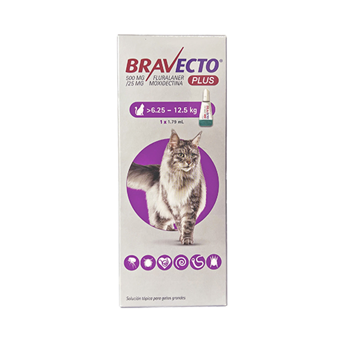 Bravecto Plus Para Gato De 6.25 A 12.5  Kg - 500 MG - Antipulgas y Garrapatas