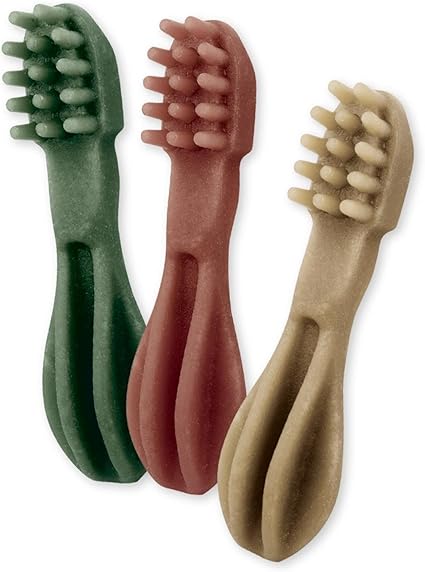 Premio para Perro Cepillo XS Pack 48 Piezas - Whimzees