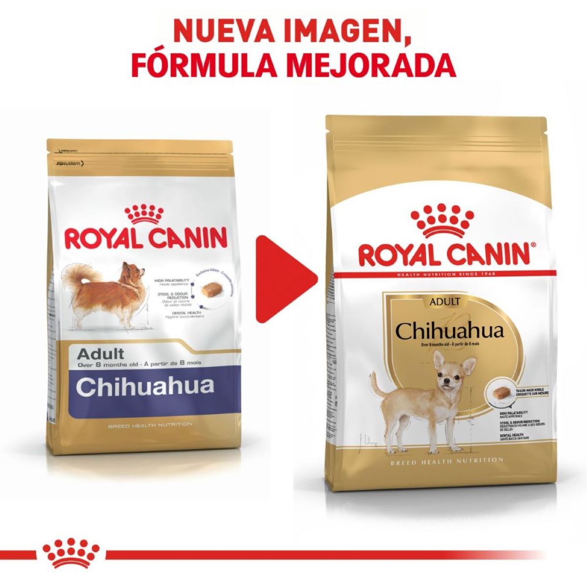 Royal Canin Chihuahua Adulto