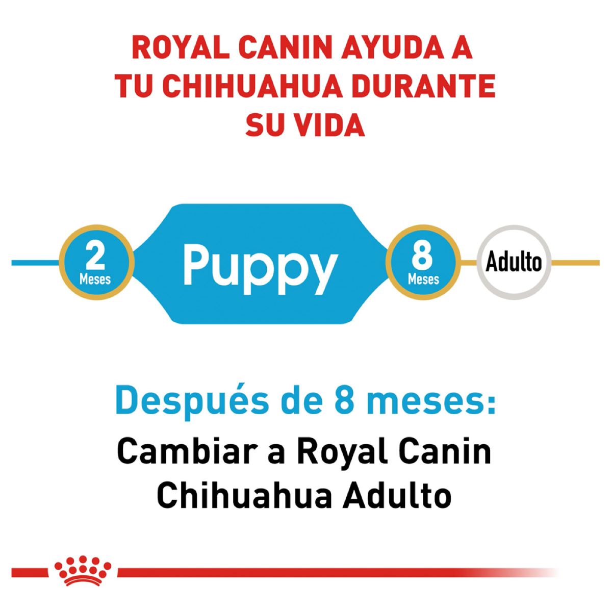 Royal Canin Chihuahua Puppy 1.1 Kg - Alimento para Cachorro