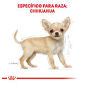 Royal Canin Chihuahua Puppy 1.1 Kg - Alimento para Cachorro