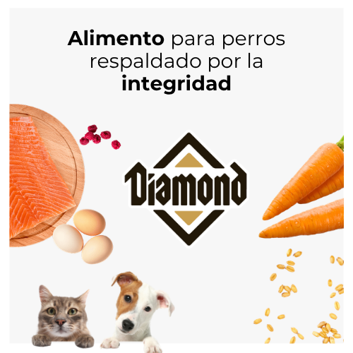Alimento respaldado por integridad