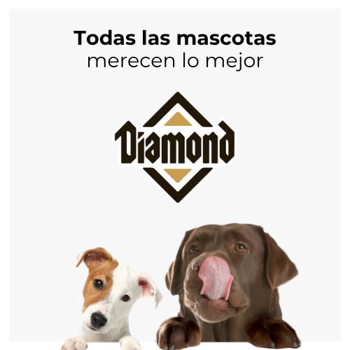Las mascotas merecen lo mejor
