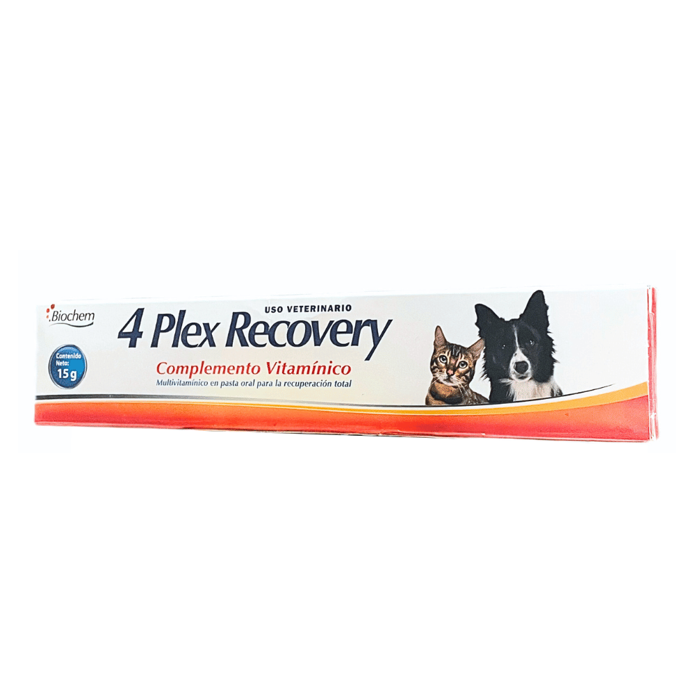 4 Plex Recovery 15 gr - Biochem