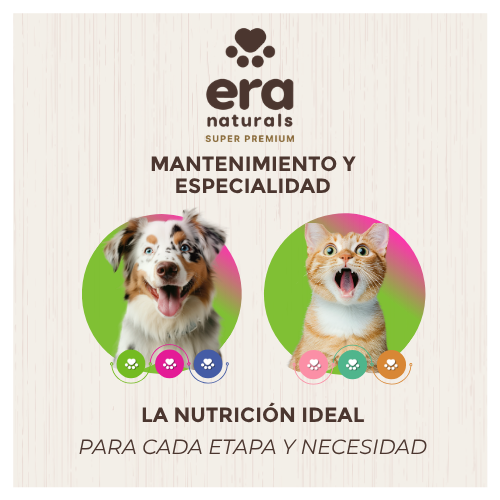 Catalogo amplio y versátil 