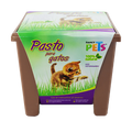 Pasto Para Gatos Fancy Pets