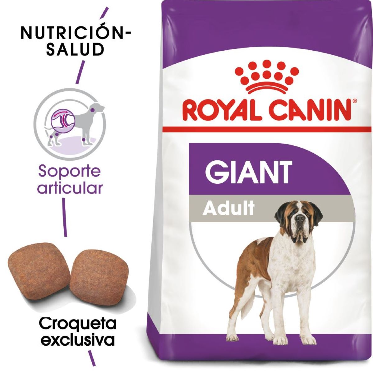 Royal Canin Giant Adult, Alimento para Perro, perro, Royal Canin, Mister Mascotas