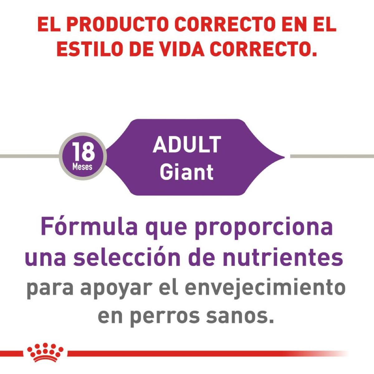 Royal Canin Giant Adult, Alimento para Perro, perro, Royal Canin, Mister Mascotas