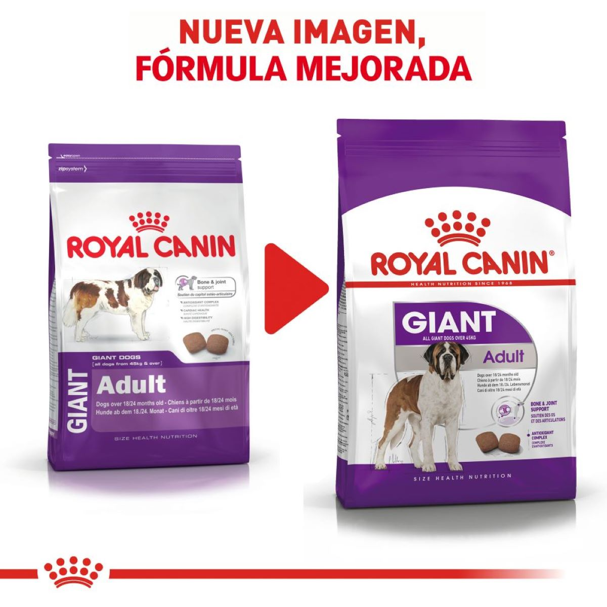 Royal Canin Giant Adult, Alimento para Perro, perro, Royal Canin, Mister Mascotas