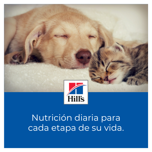 Nutrición para cada etapa