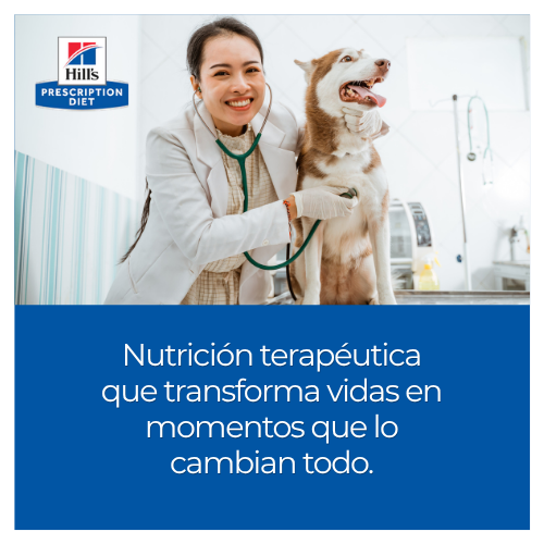 Transforma vidas