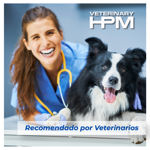Recomendado por veterinarios