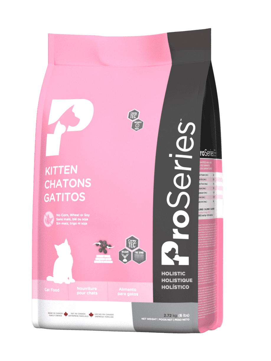 Proseries Kitten Chaton Gatitos