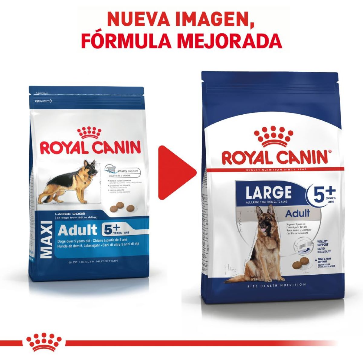 Royal Canin Large Adult 5+