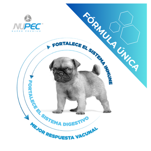 Fortalece el sistema inmune
