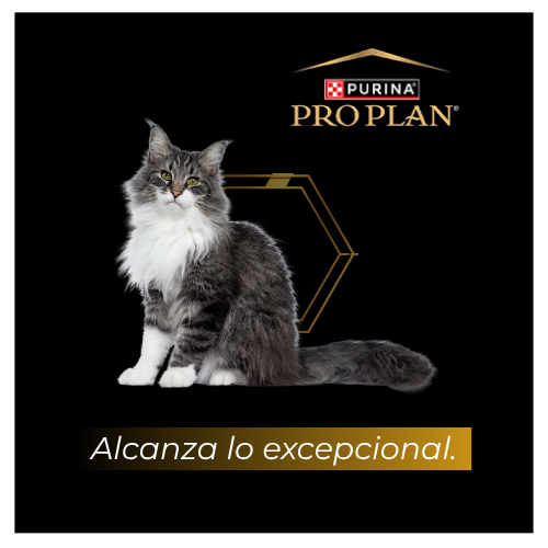 Alcanza lo excepcional