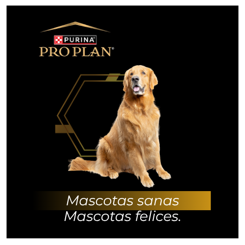 Mascotas sanas, Mascotas felices