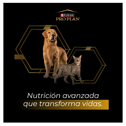Nutrición avanzada que transforma vidas