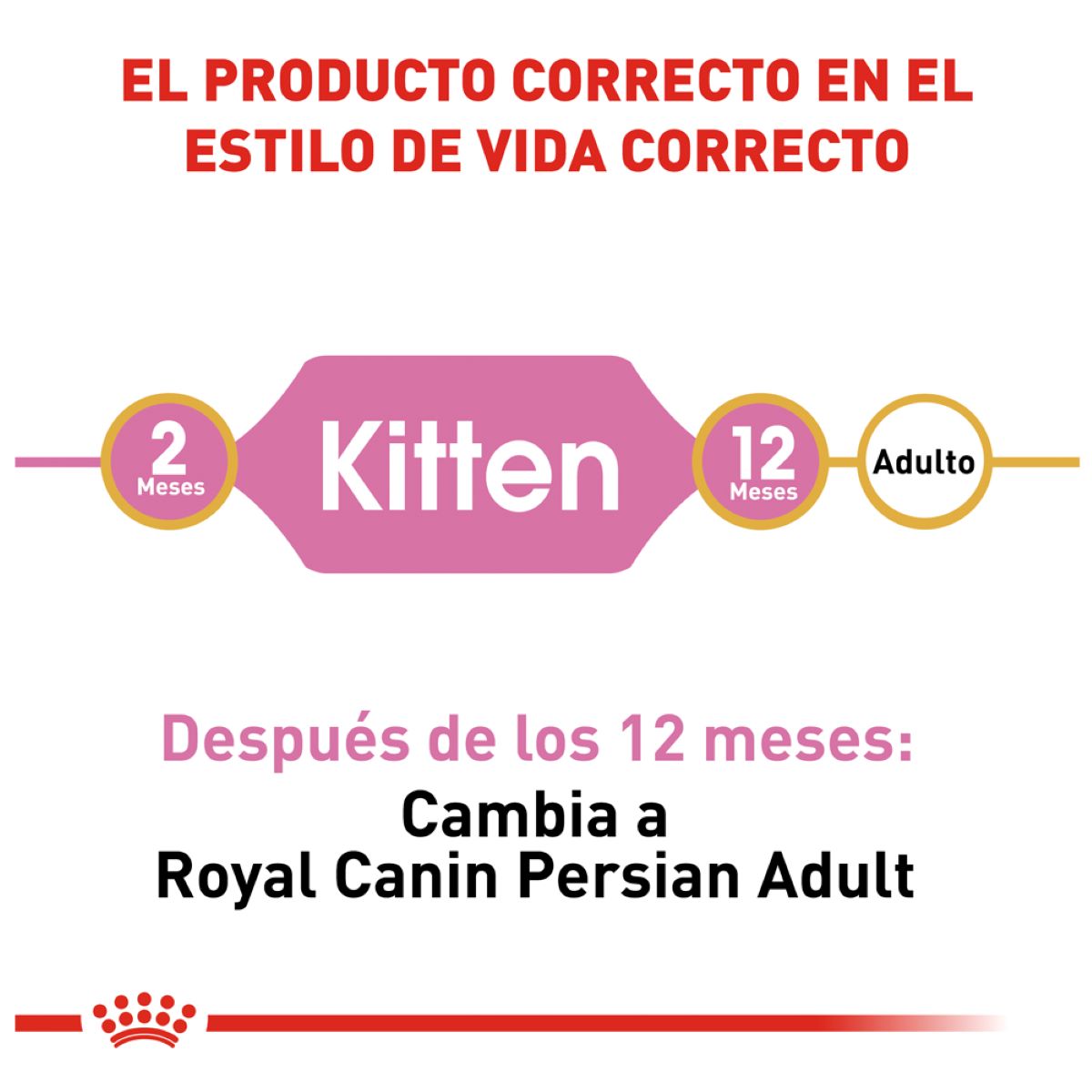 Royal Canin Persian Kitten 1.37 Kg - Alimento Para Gaitto Persa